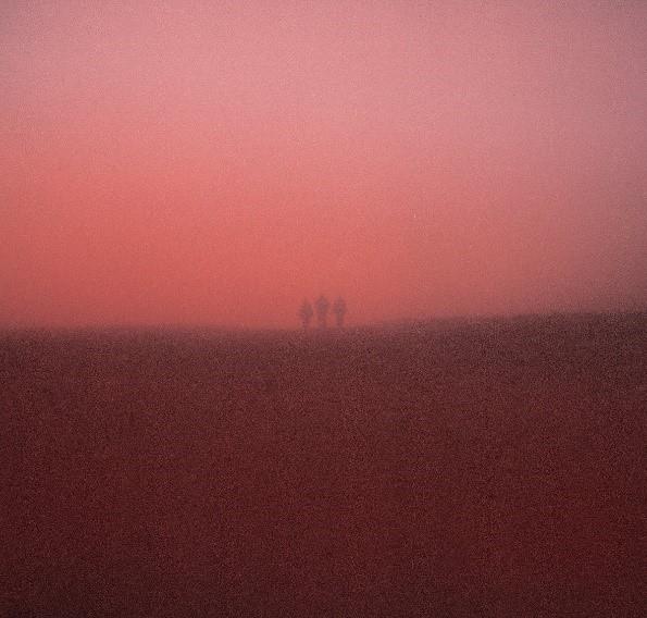 Fog Infinite