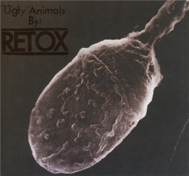 Ugly animals