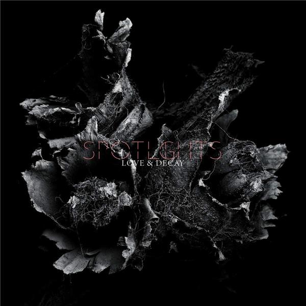 Love & decay