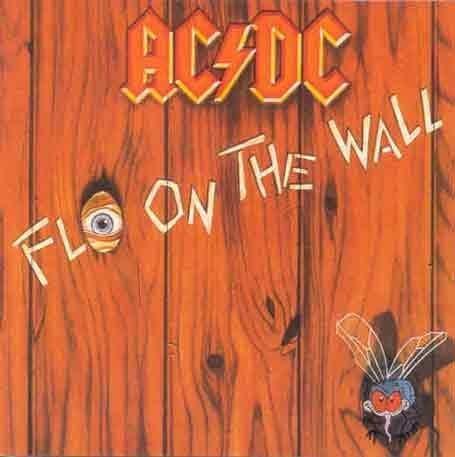 Fly on the Wall