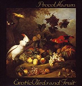 Exotic birds & fruits