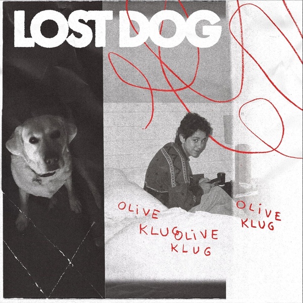 Lost Dog