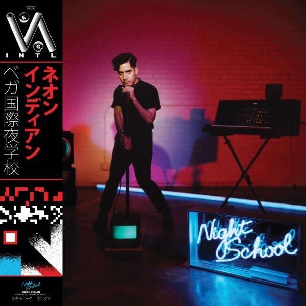 Vega Intl Night School