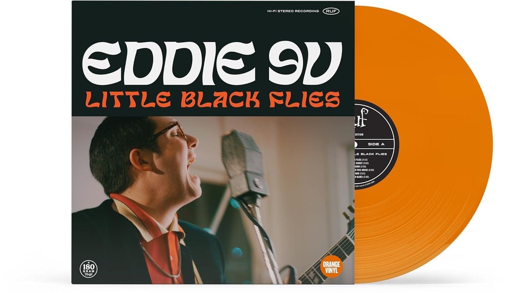LITTLE BLACK FLIES