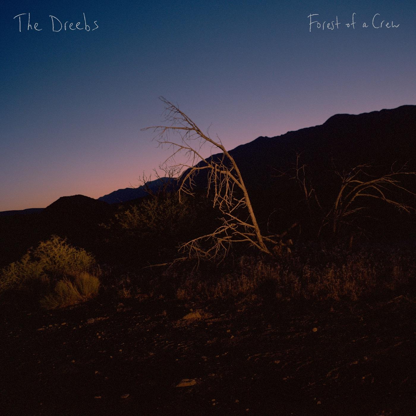 FOREST OF A.. -DOWNLOAD-