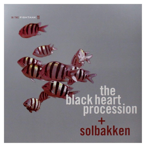 In The Fishtank/Silver