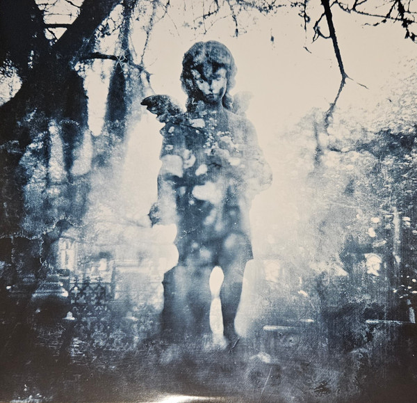 Through The Ashes Of Empires Vinyle Bleu