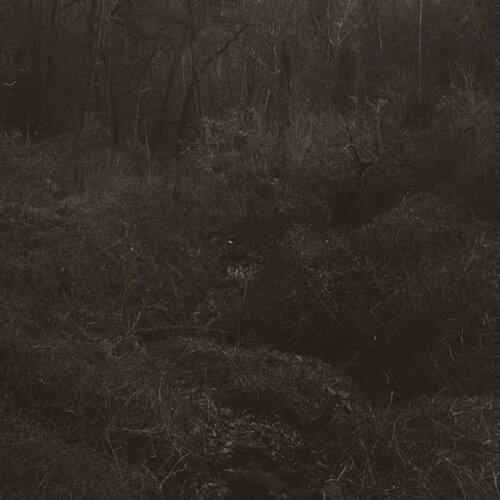 Transient