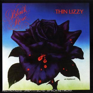 Black rose