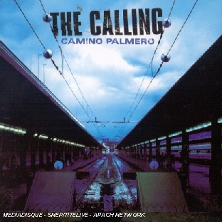Camino Palmero