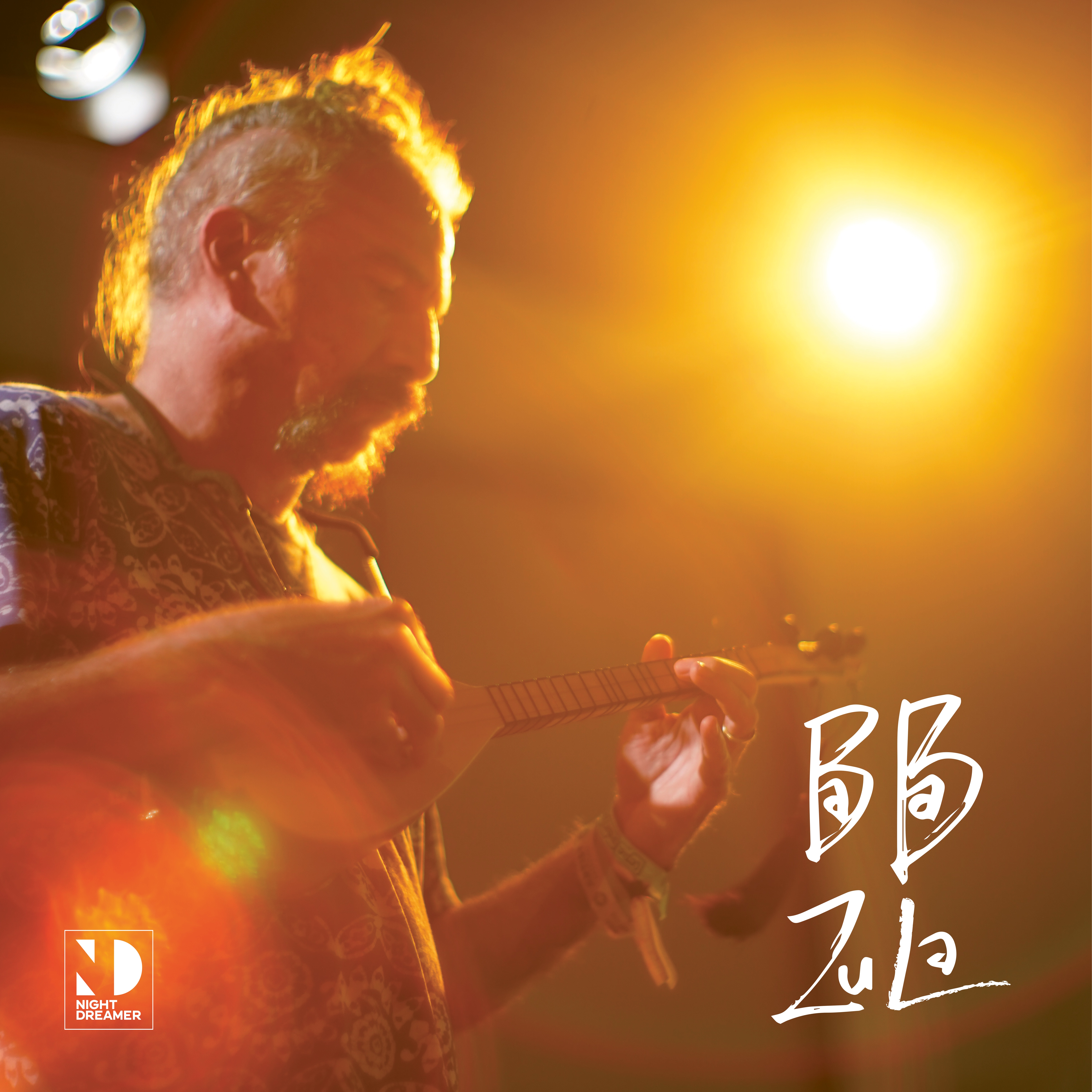 HAYVAN GIBI/NIGHT DREAMER DIRECT TO DISC SESSIONS