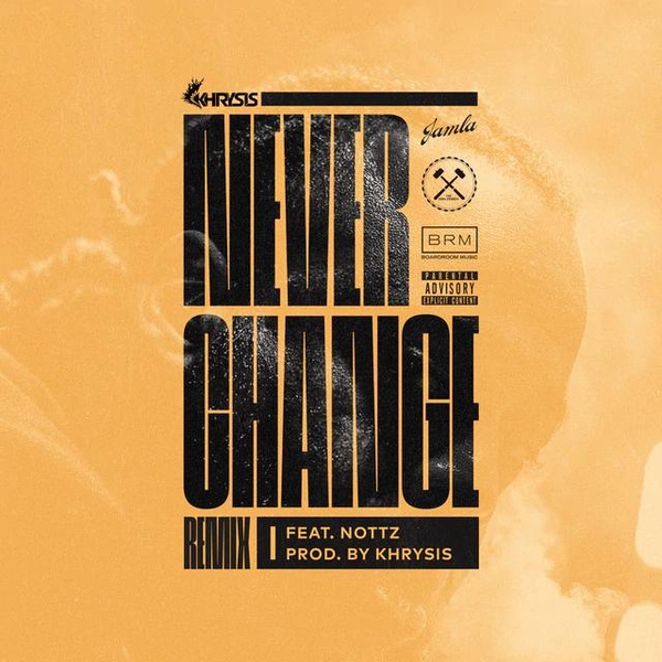 Never Change (Nottz Remix) - THOK Version