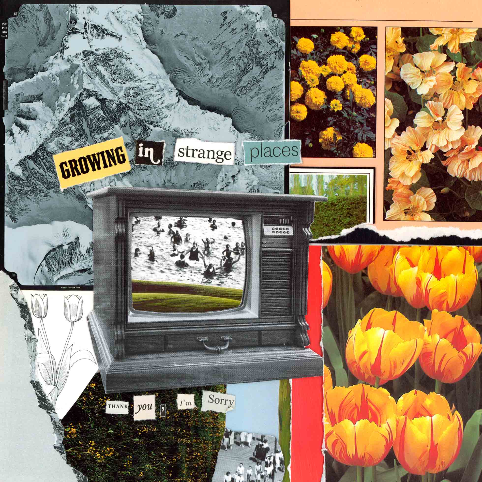 Growing In Strange Places - Vinyle Orange