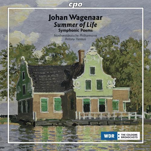 Summer of life