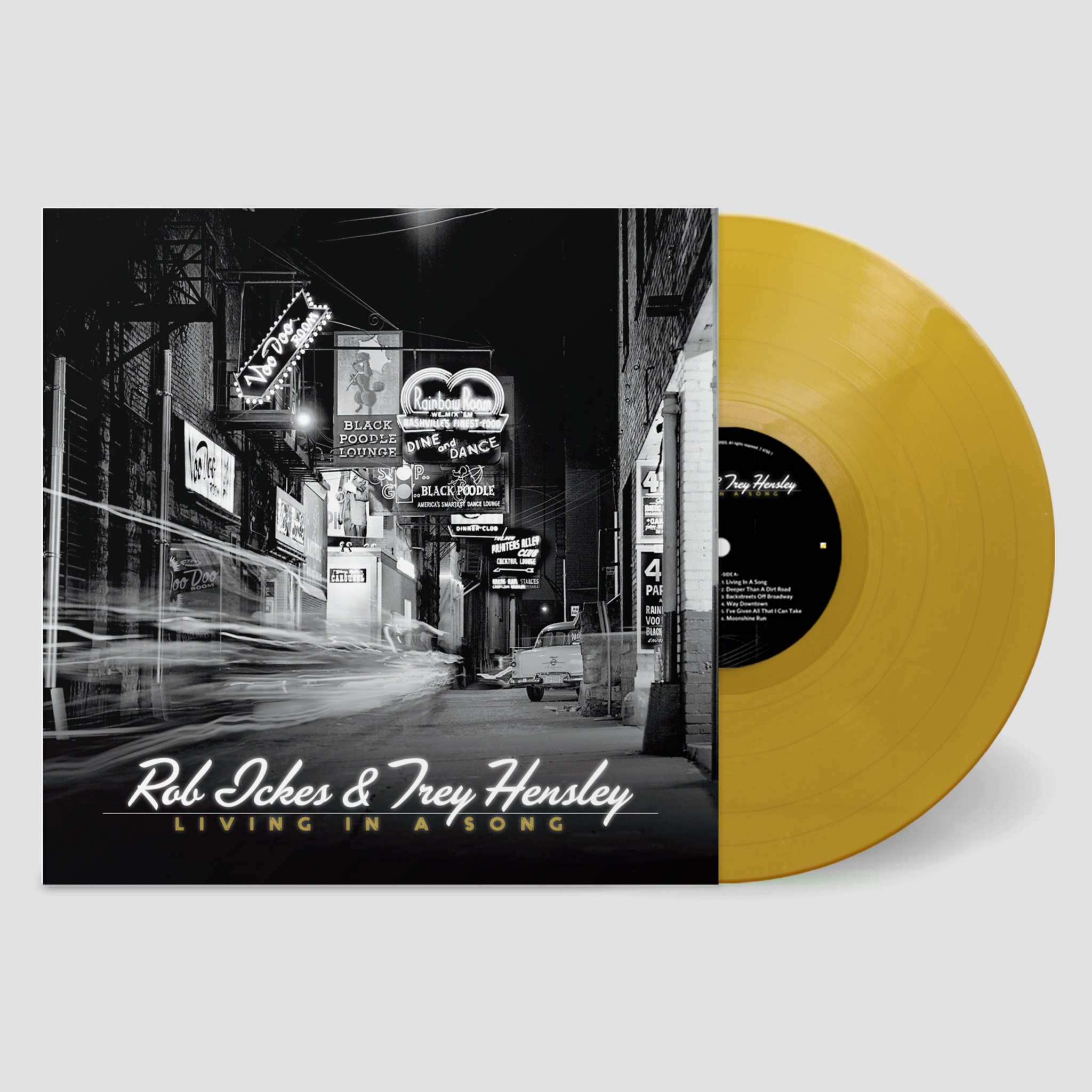 LIVING IN A SONG/GOLD METALLIC VINYL
