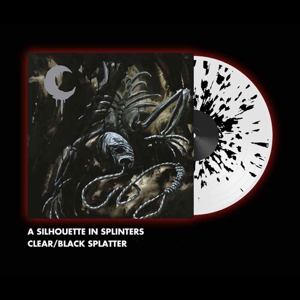 A Silhouette In Splinters