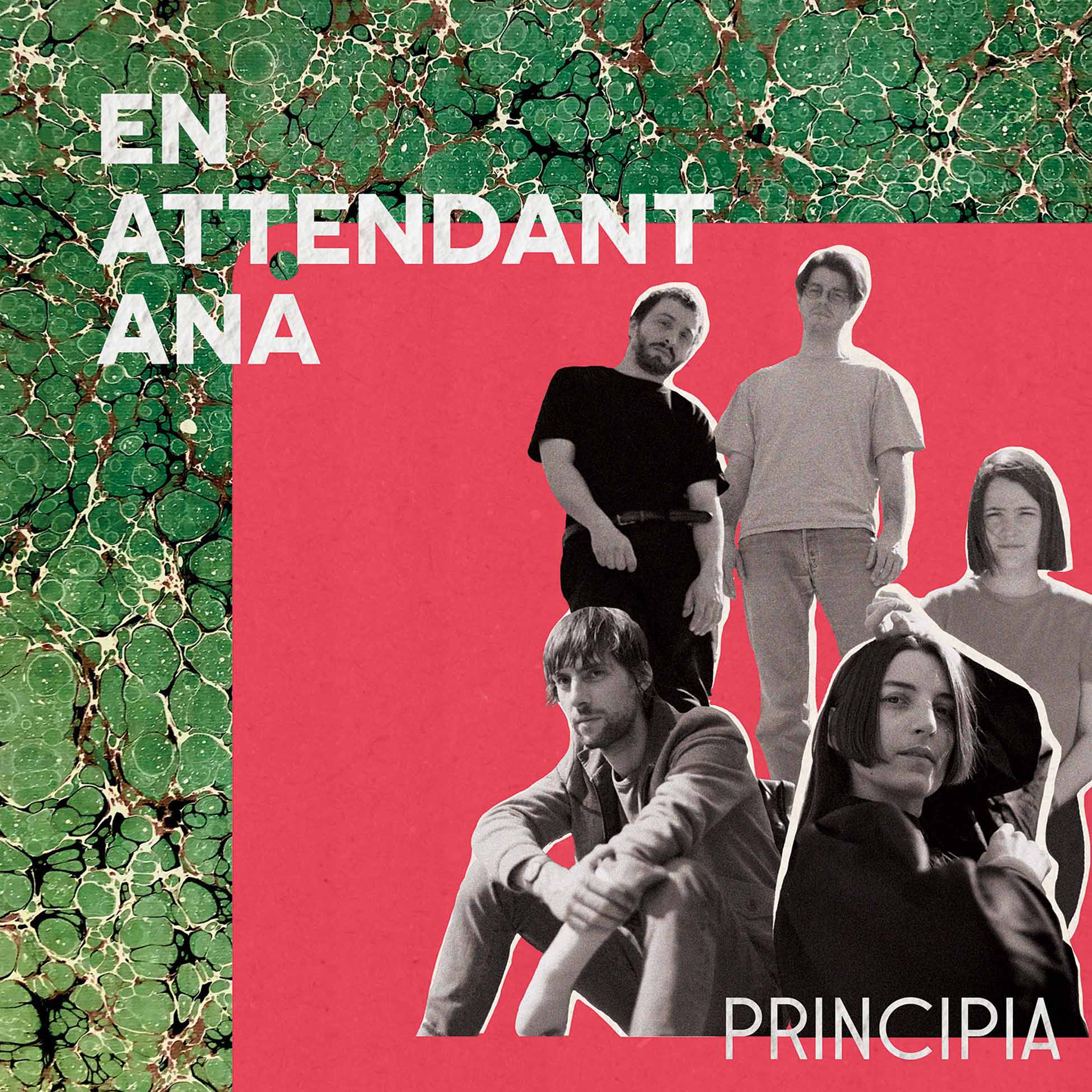 Principia - Vinyle Vert