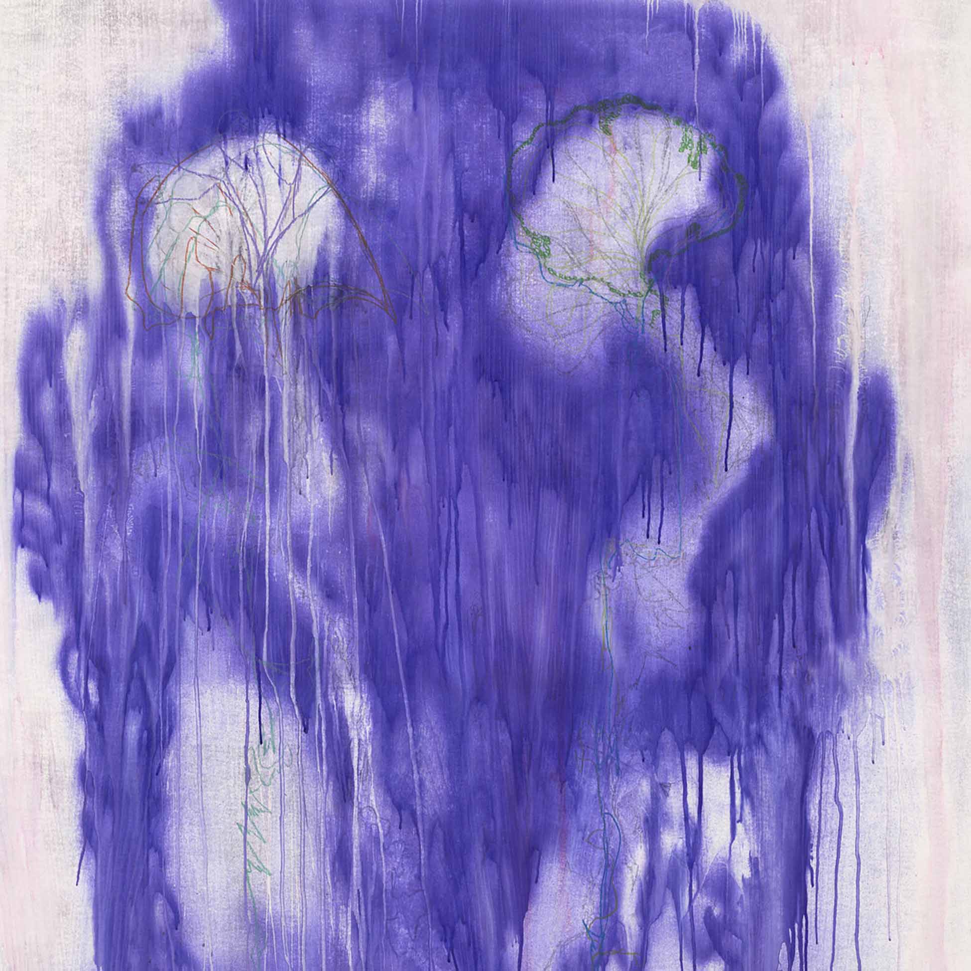 Swamp - Things