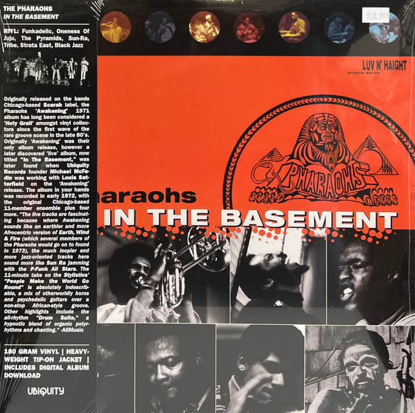 In The Basement