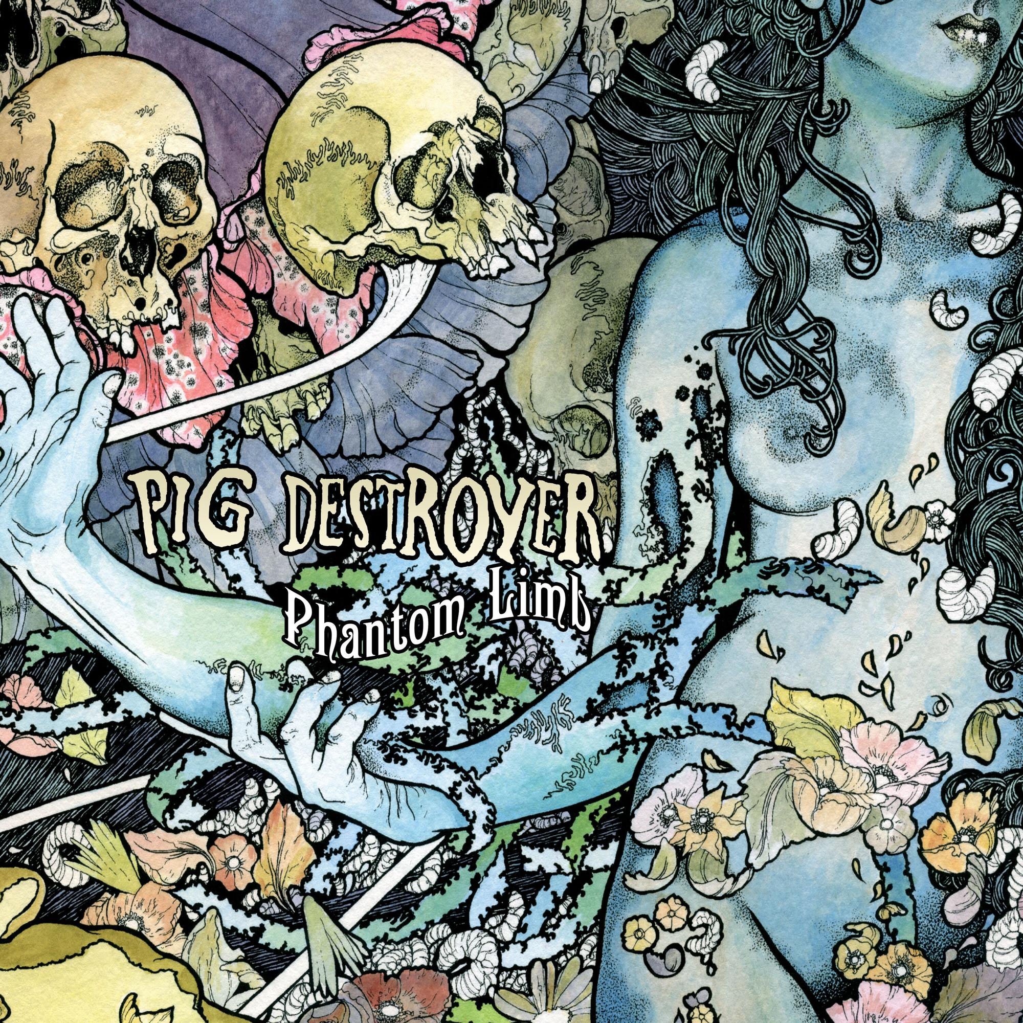 Phantom Limb