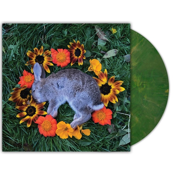 Your Time To Shin Vinyle Coloré