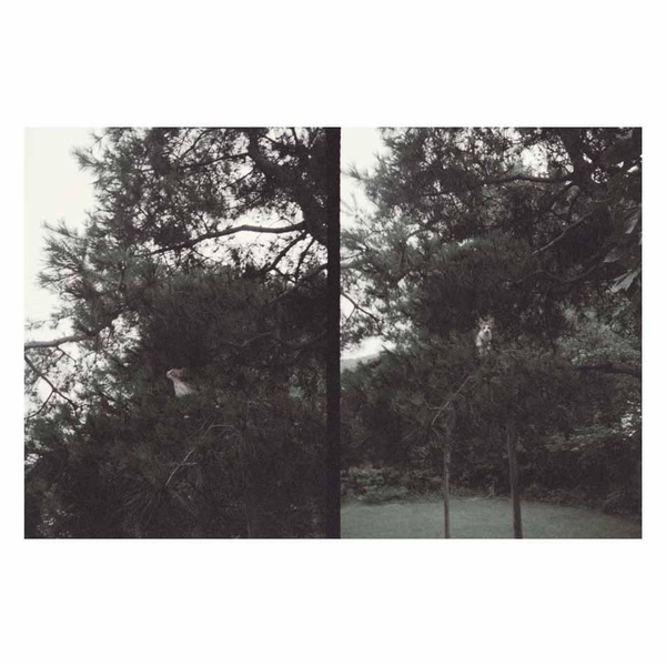 Just Like Any Other Day: Background Music For Your Mundane Activities