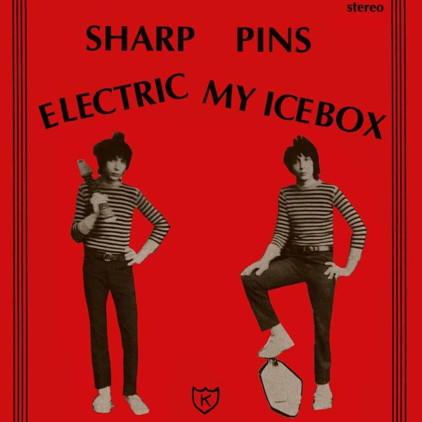 Electric My Icebox - Vinyle