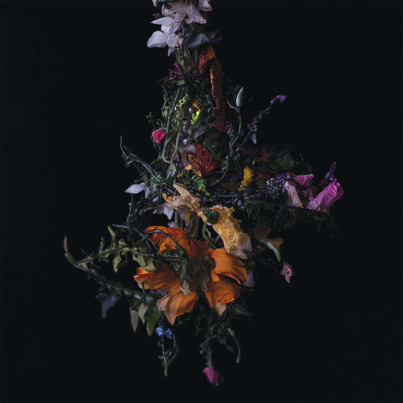 NATURE MORTE/LIMITED