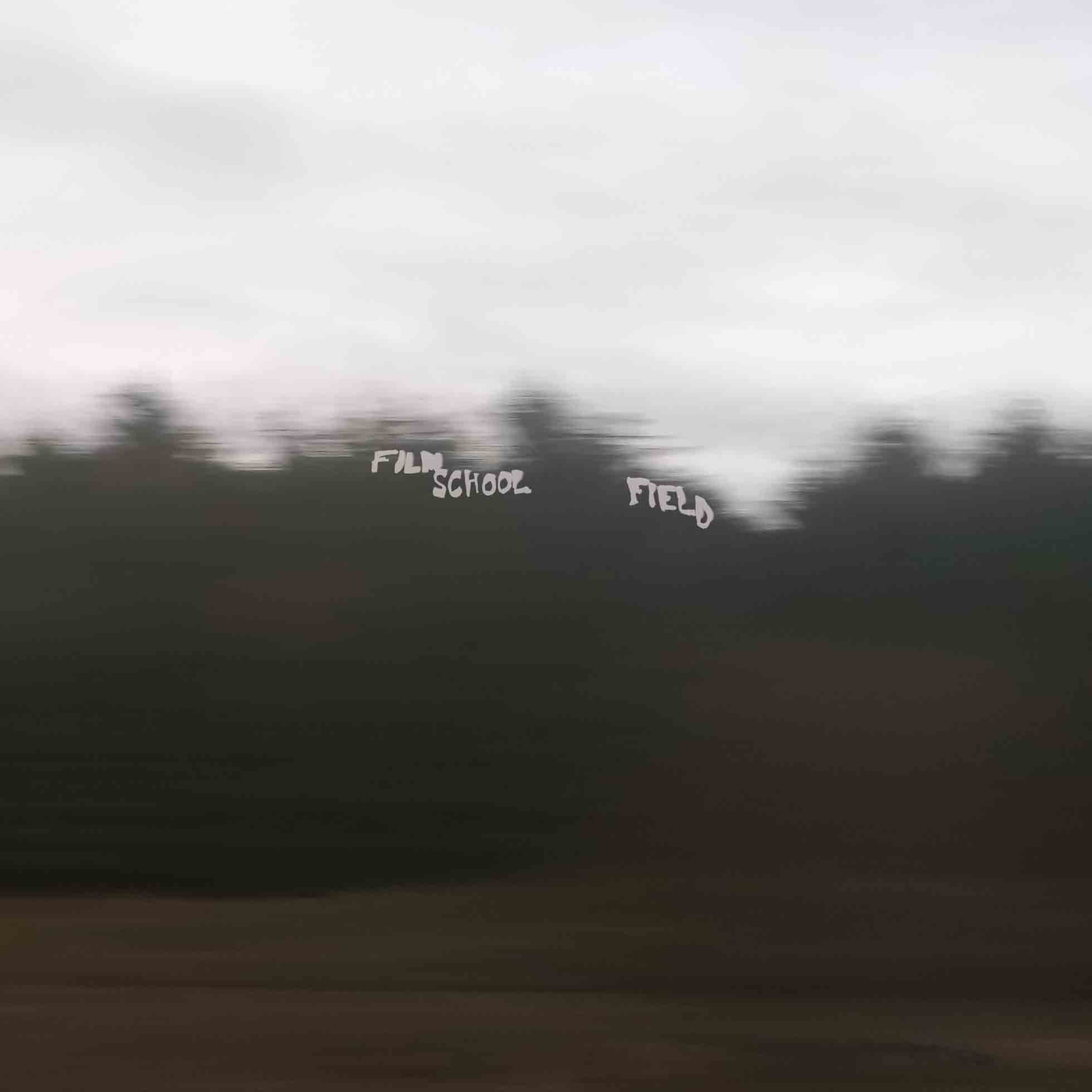 Field - Vinyle Vert Forêt