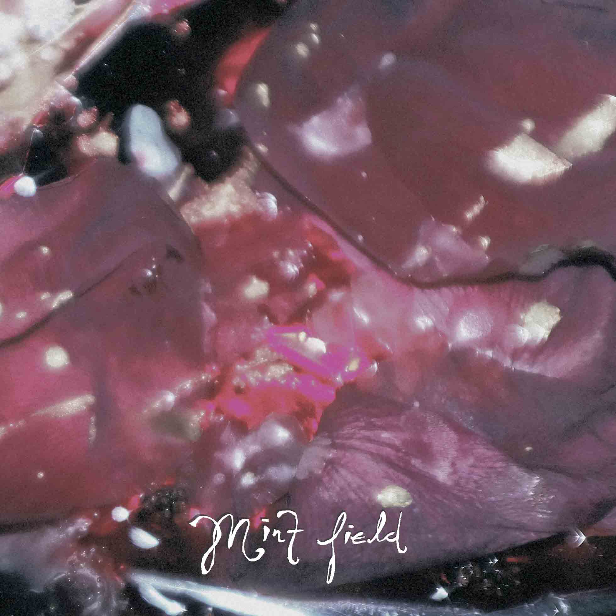 Aprender A Ser - Vinyle Pourpre