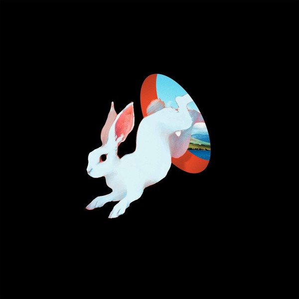 Animal Hospital - Vinyle Bleu Transparent
