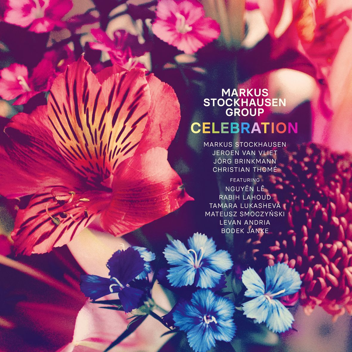 CELEBRATION (2 vinyls)