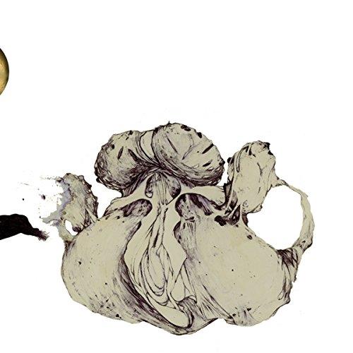 Ape of Naples