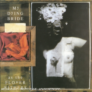 As the Flower Withers