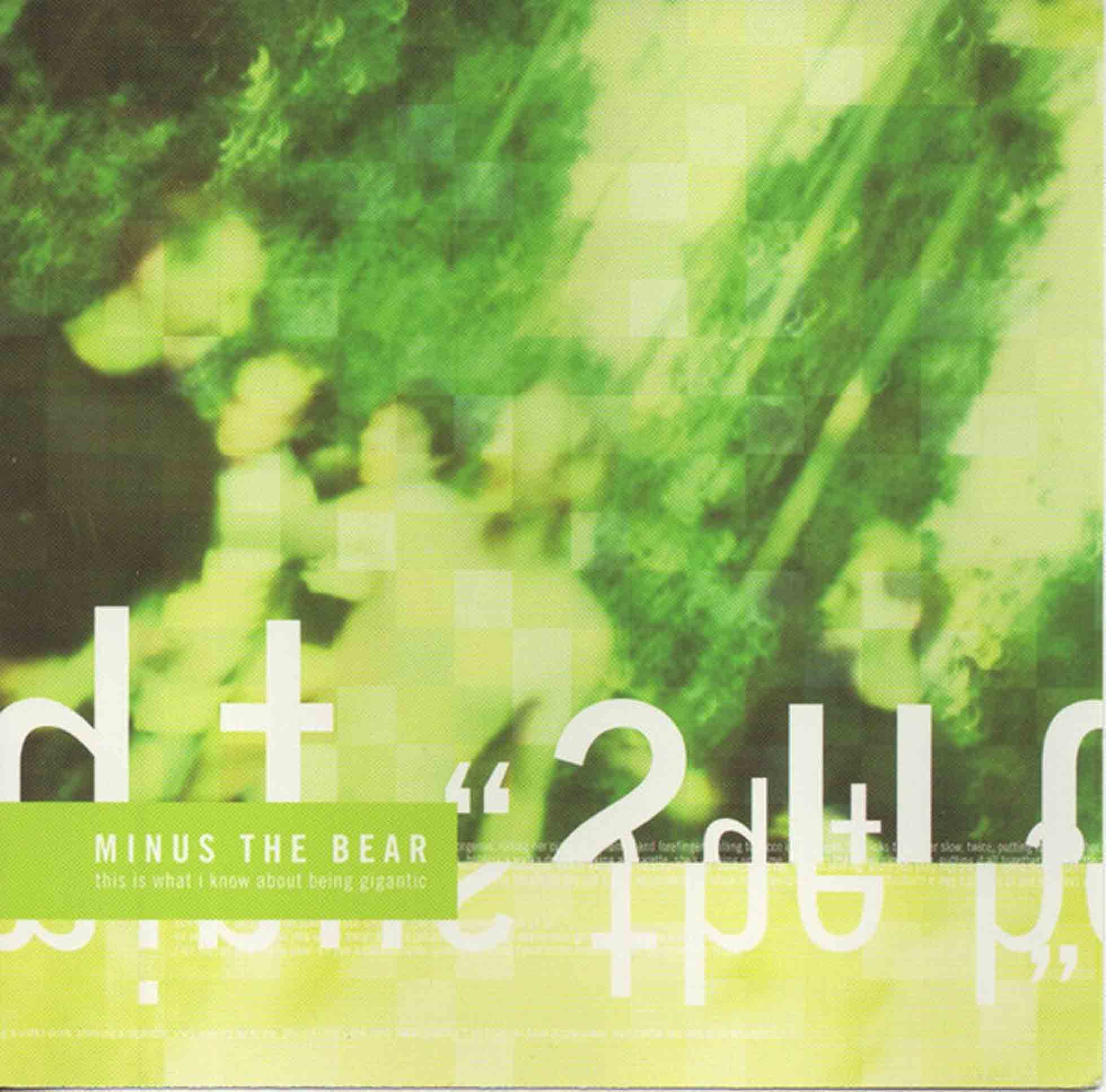 This Is What I Know About Being Gigantic - Vinyle Transparent Vert D'Eau