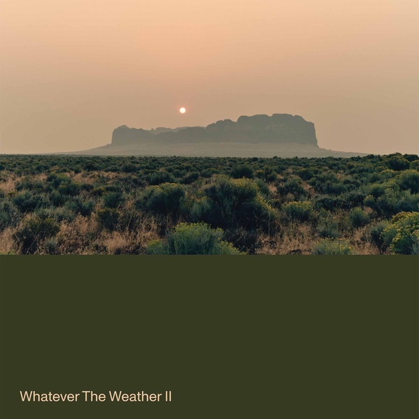 Whatever The Weather II - Vinyle Vert