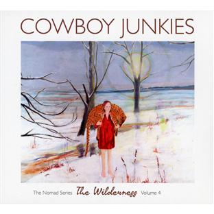 The wilderness - The nomad series volume 4