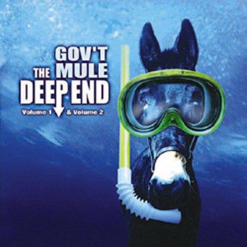 Deep end vol 1 et 2/hidden treasures