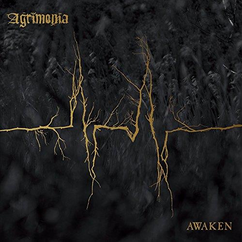 Awaken