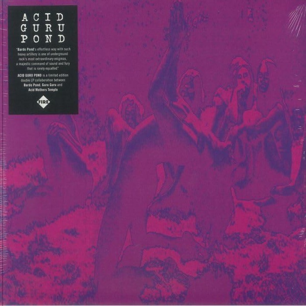Acid Guru Pond