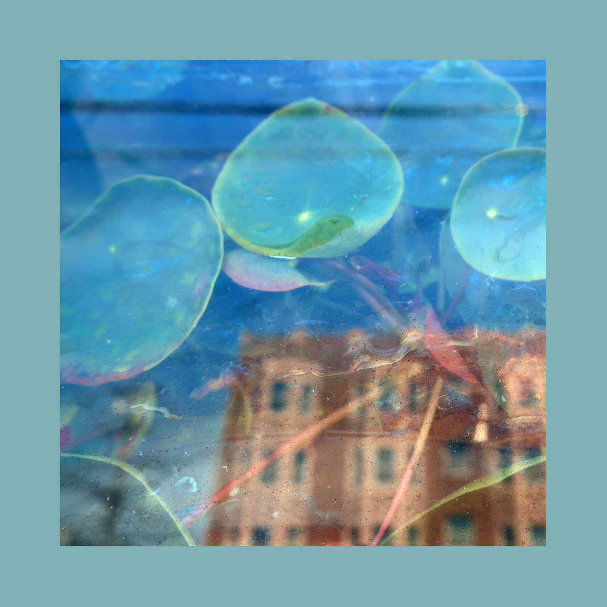 Acknowledge Kindness/Subconscious Window Pane Vinyl