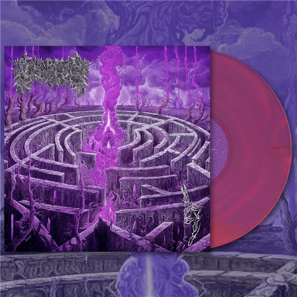 Maze Envy