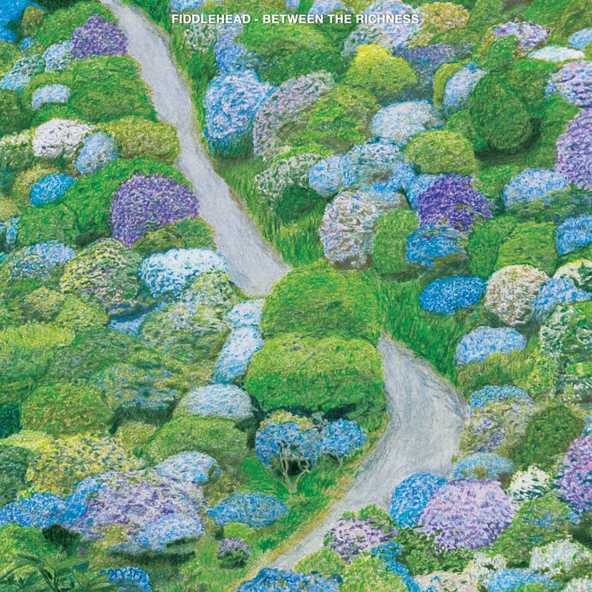 Between The Riches - Vinyle Violet