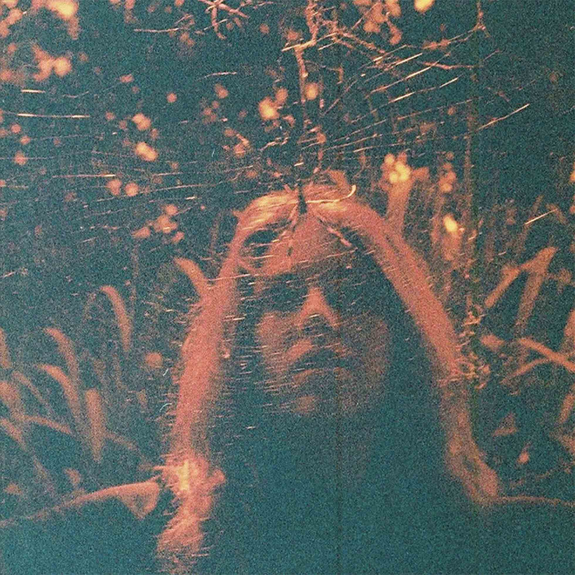 Peripheral Vision - Vinyle Orange Translucide