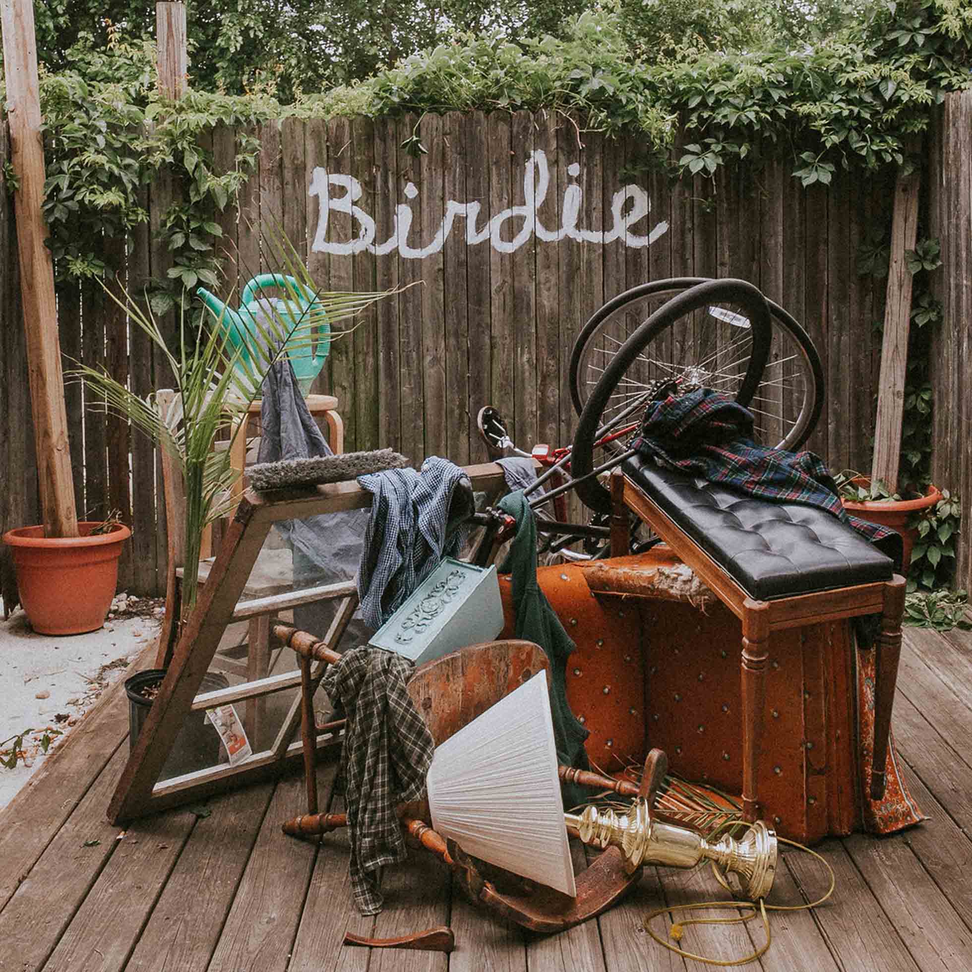 Birdie - Vinyle Vert