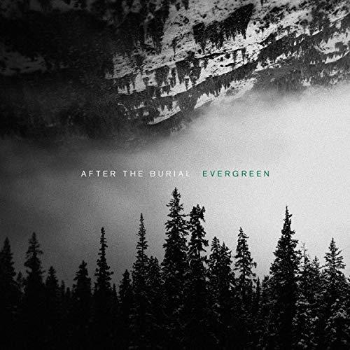 EVERGREEN