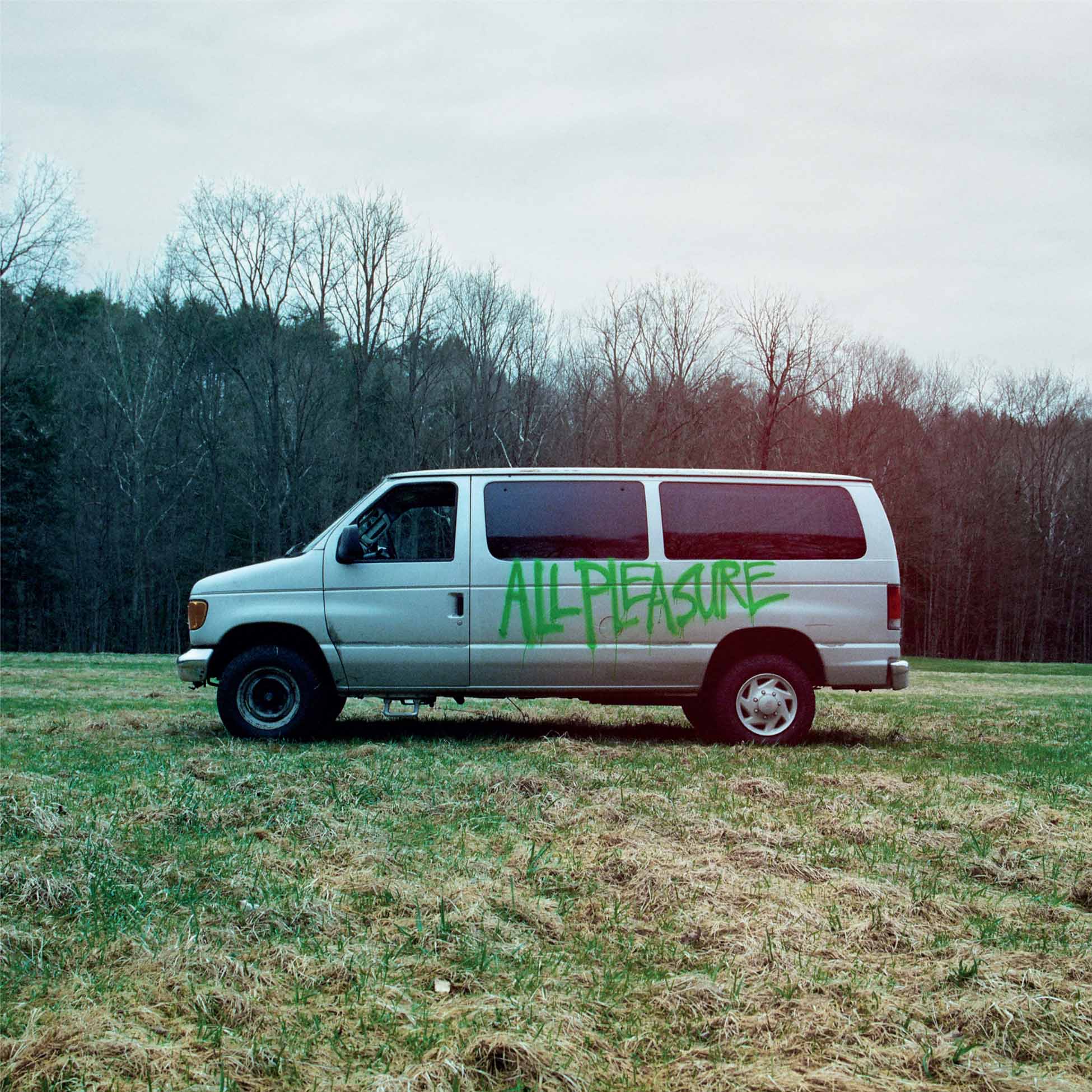 All Pleasure - Vinyle Argent