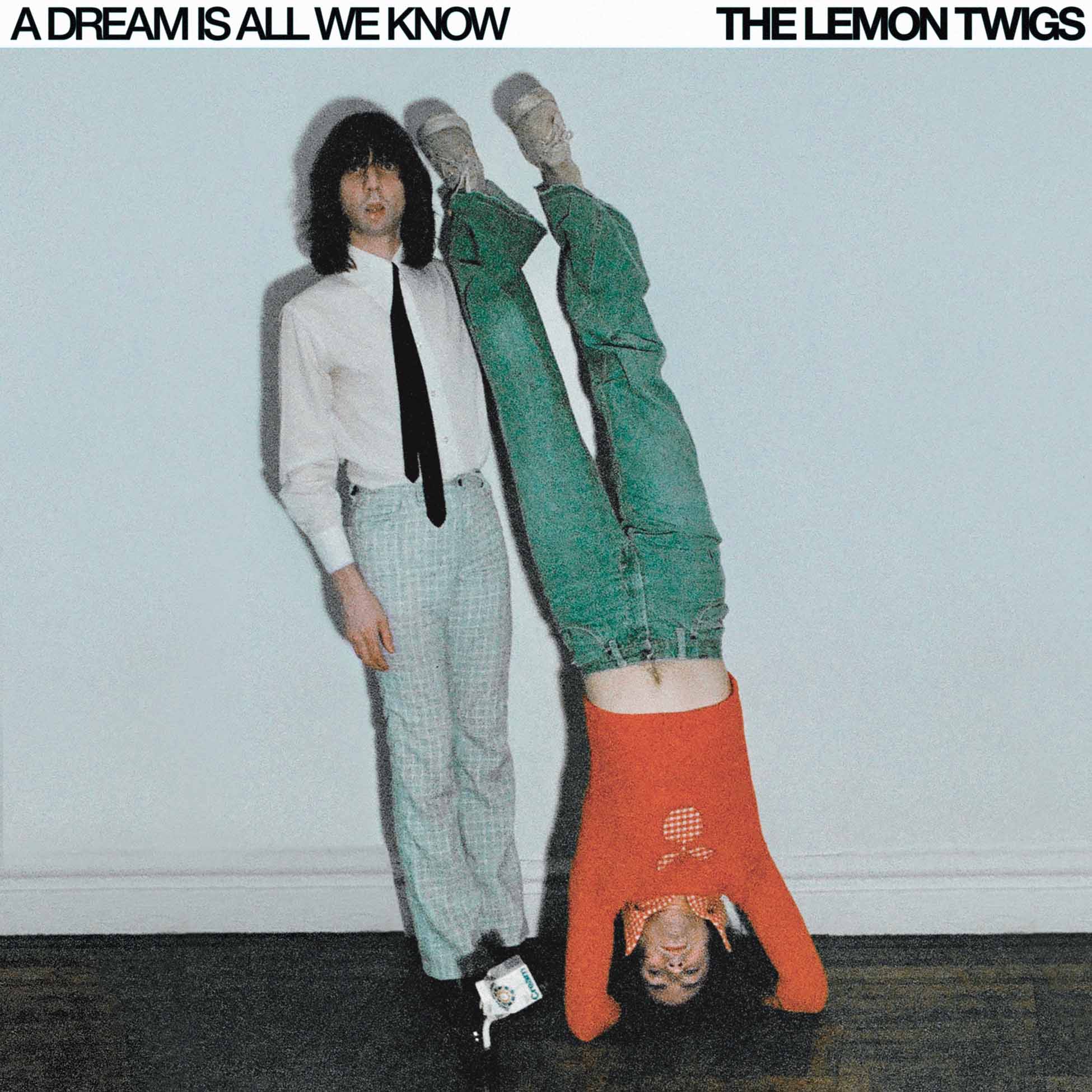 A Dream Is All We Know - Vinyle Blanc Creme