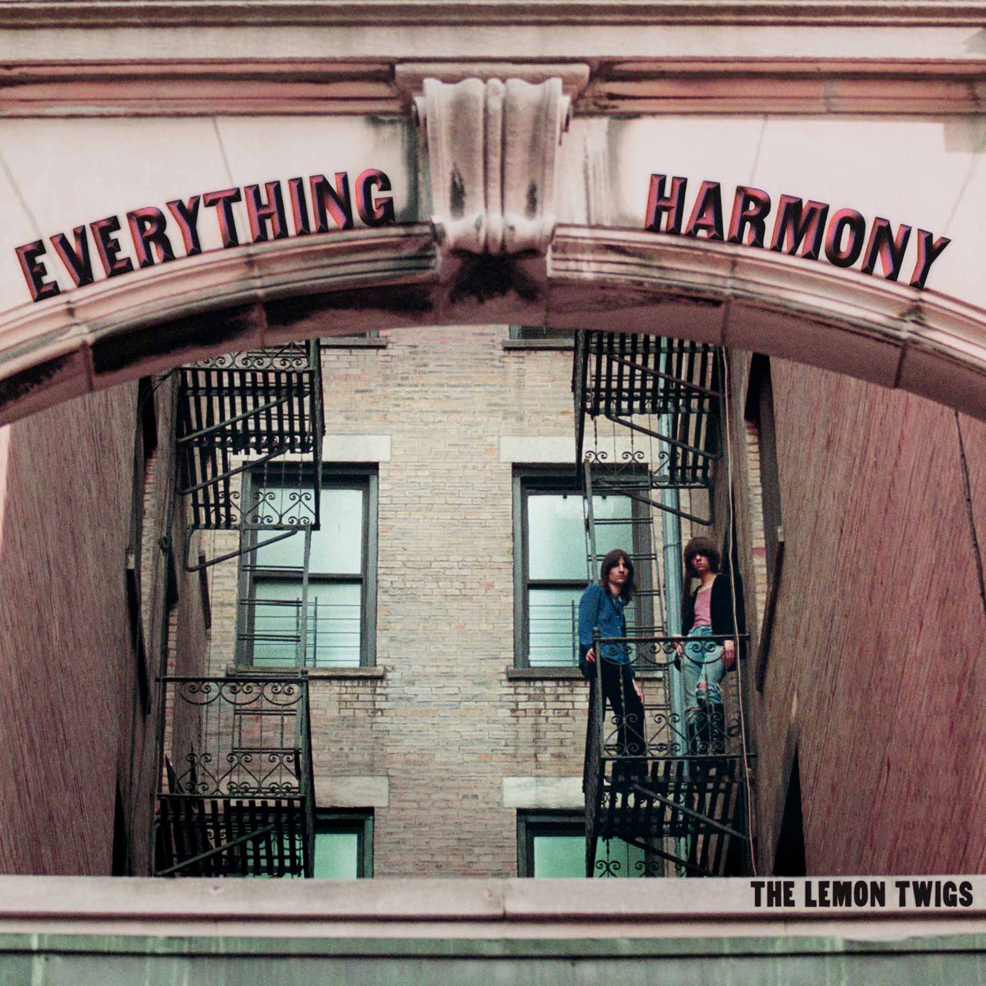 Everything Harmony - Vinyle Rose