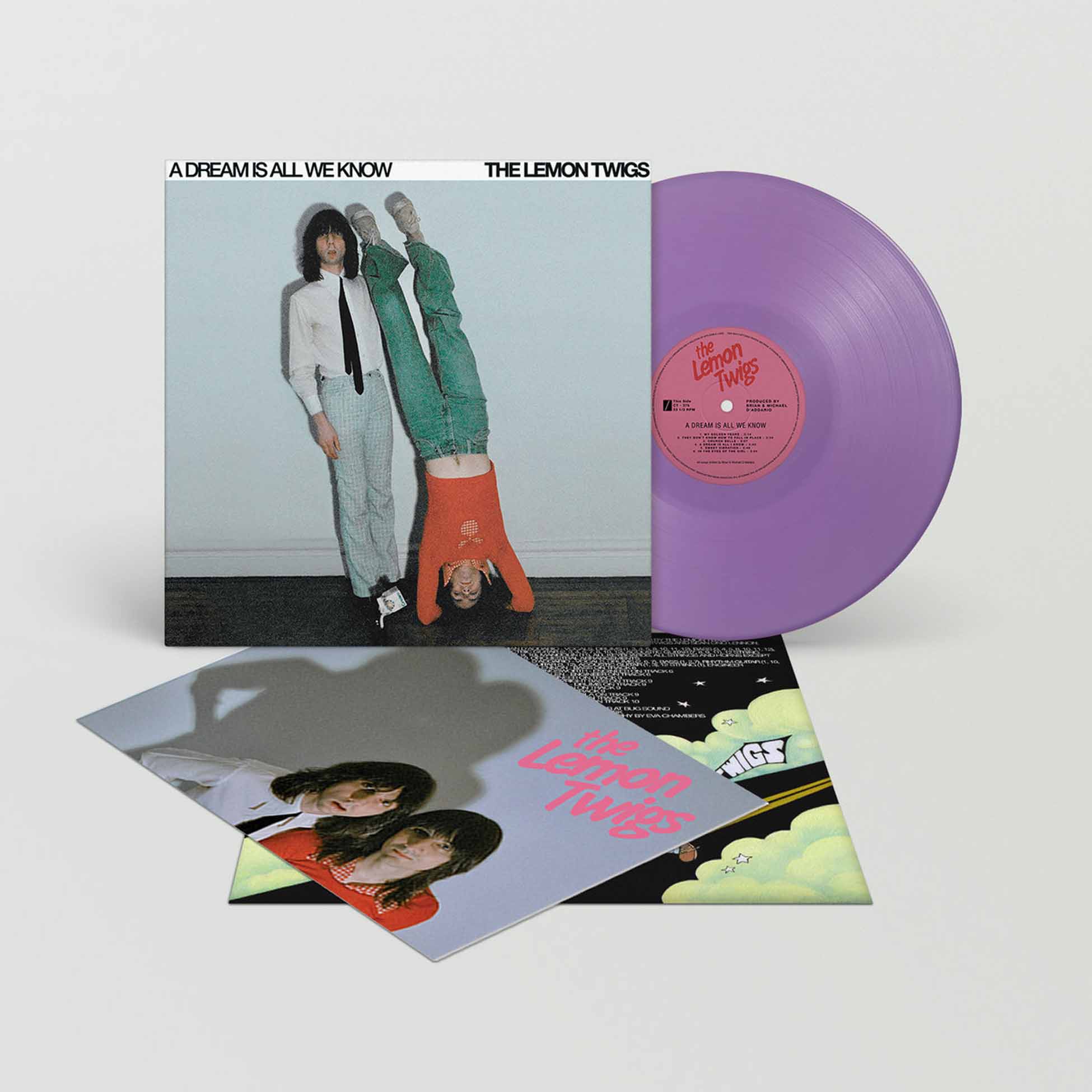 A Dream Is All We Know - Vinyle Mauve